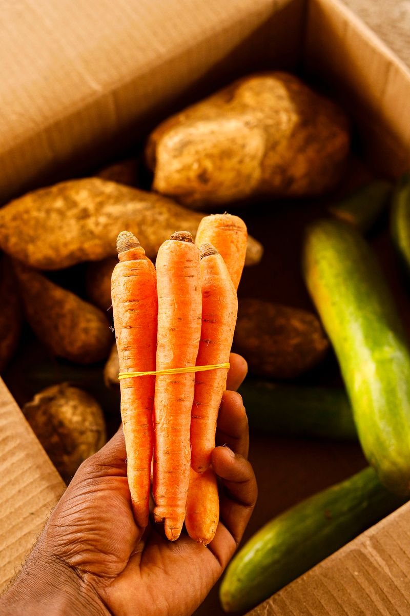 Fresh Carrots